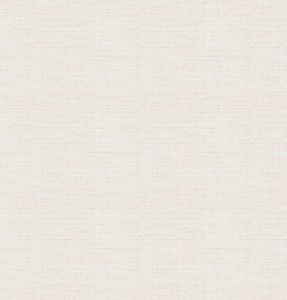 bg_shopinfo