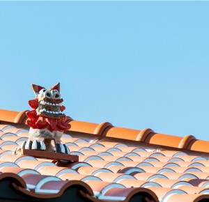 sp_image4
